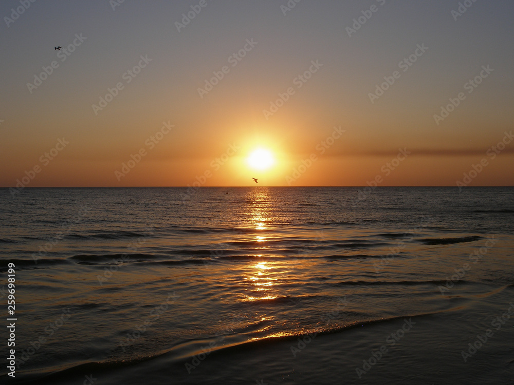 Sea sunset with seagulls