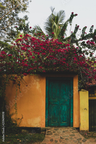 Doors of Color