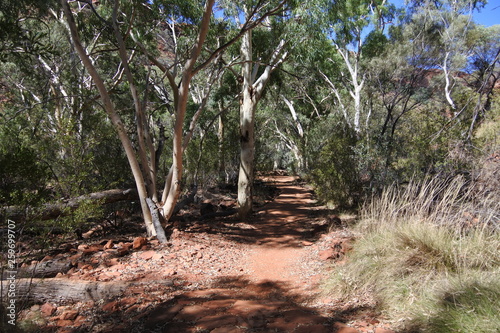 Schattiger Wanderweg im Kings Canyon in Australien