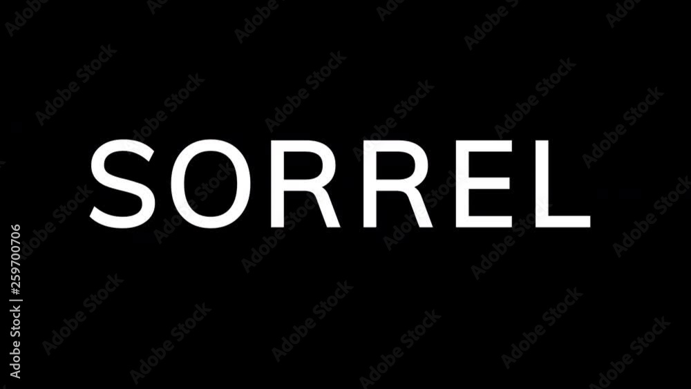 From the Glitch effect arises vegetable SORREL. Then the TV turns off. Alpha channel Premultiplied - Matted with color black From the Glitch effect arises vegetable SORREL. Then the TV turns off. Alpha channel Premultiplied - Matted with color black