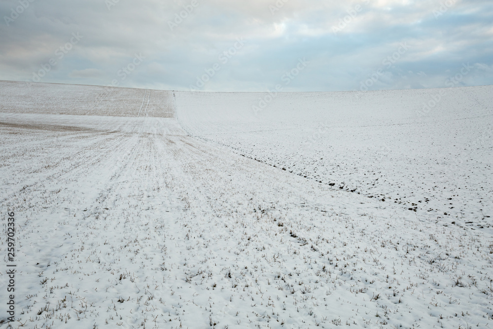 Winter fields of northern Slovakia.
