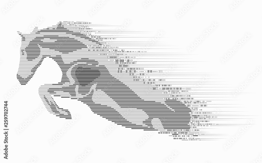 Fototapeta premium binary horse