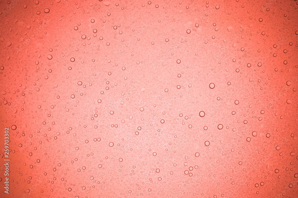 Fototapeta premium Rain droplets on red glass background, Water drops on glass.