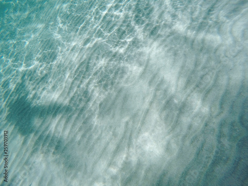 Fotografía submarina en playa  © Guillem