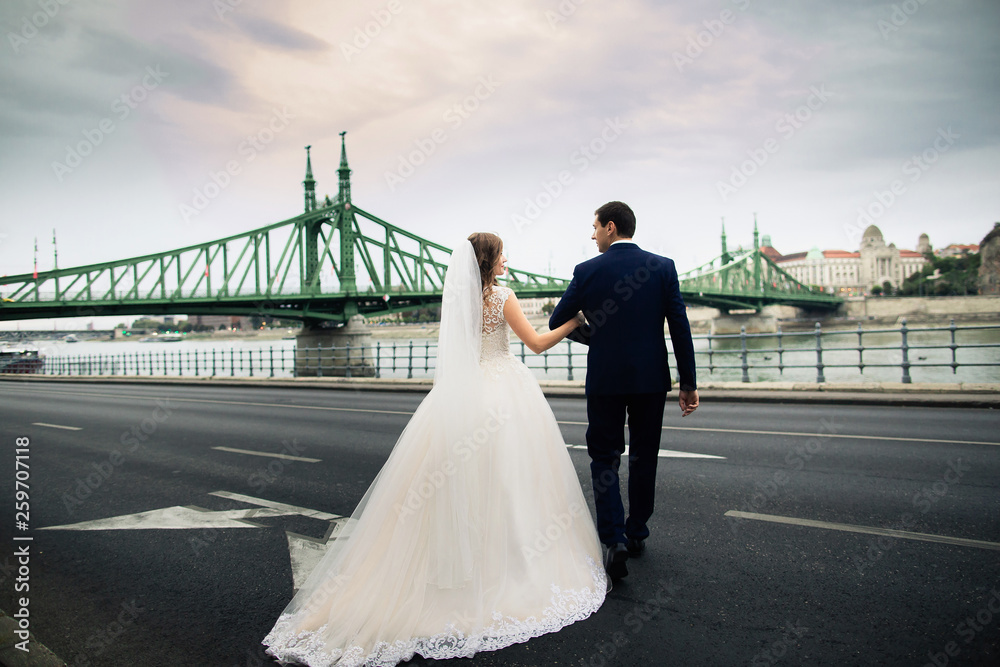 Obraz premium Young beautiful stylish pair of newlyweds near the river in Budapest