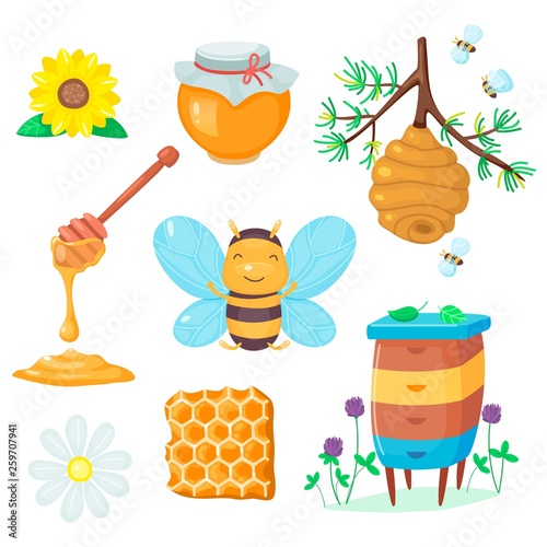 Beekeeping set with bee and flowers, wild beehive and jar. Honeycomb with honey. Vector cartoon flat illustration. 