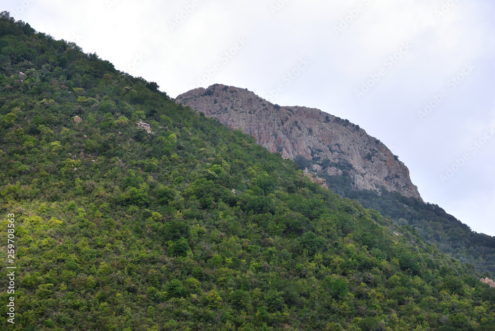 Veduta della Rocca Arricelli