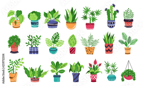 Vector HousePlants Set
