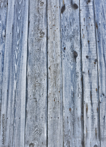 Wooden background in white and gray. Wood surface in vintage tone. Smooth light natural wood texture