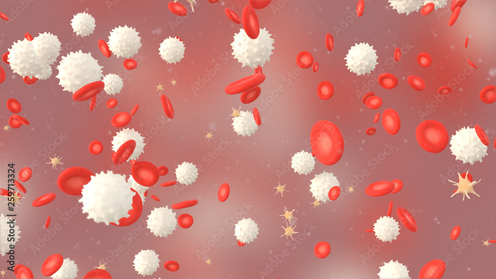 3D illustration of a blood with red cell white cell and platelet 3D illustration of a blood with red cell white cell and platelet