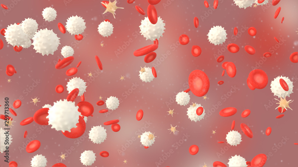3D illustration of a blood with red cell white cell and platelet 3D illustration of a blood with red cell white cell and platelet