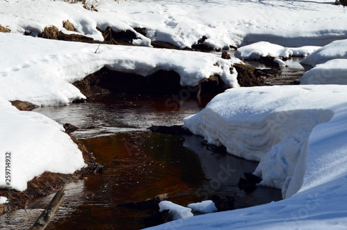 spring river in the forest on the background of snowdrifts