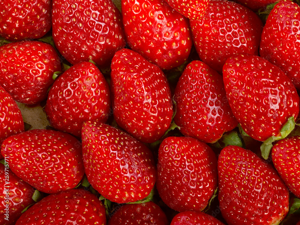 Fresas Fresas