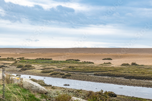 Chesil Beach Landside - Pebble Beach