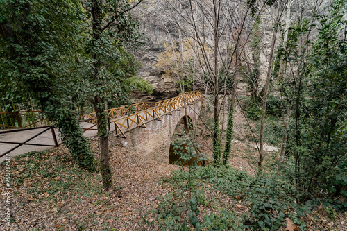 National Botanical garden of Georgia. Beautiful bridges  paths  waterfall and trees.