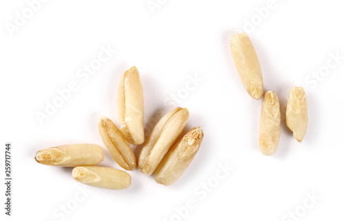 Peeled oat grains isolated on white background, macro