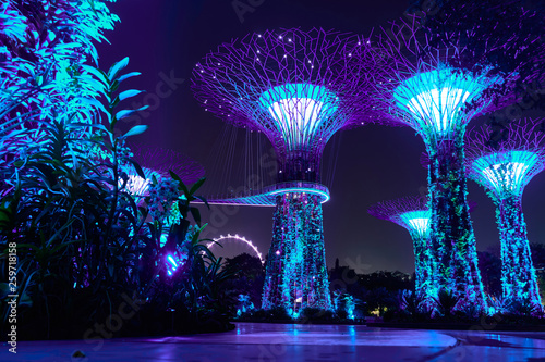 Singapore , Singapore : March 19 2019 : Gardens of the bay, Singapore
