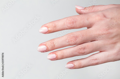 Closeup macro photo of one female hand with beautiful natural fresh pink manicure. Woman applying oil to cuticles of fingers. Color horizontal photography.