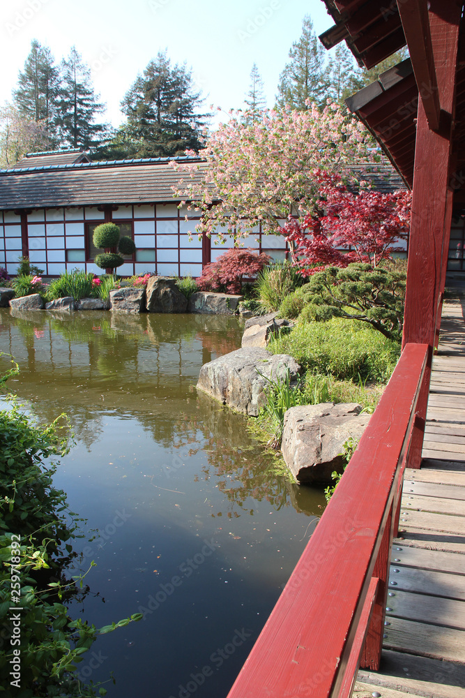 Fototapeta premium A japanese garden in Nantes (France)
