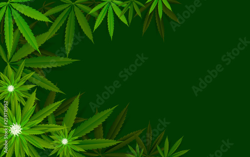 Fototapeta Naklejka Na Ścianę i Meble -  Marijuana concept in a 3D and legislation as medical and recreational weed usage on green background symbols illustration