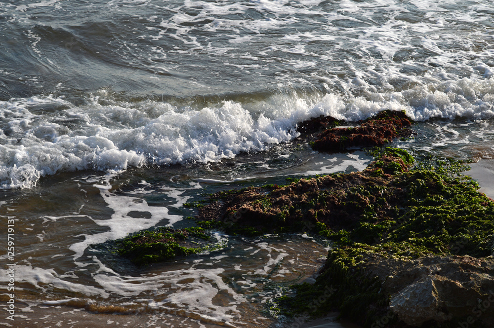 Beautiful Sicilian Seascape, Mediterranean Sea, Donnalucata, Scicli, Ragusa, Italy, Europe