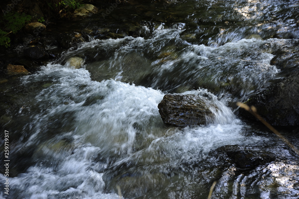 Río de montaña caudaloso con piedras redondeadas Río de montaña caudaloso con piedras redondeadas
