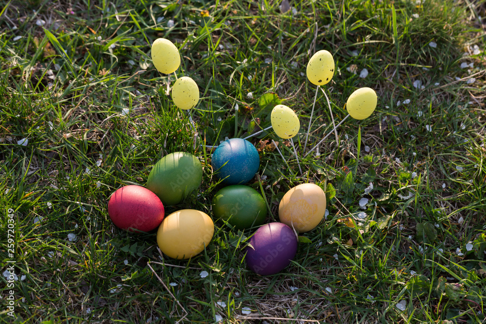 Colorful Easter eggs in the nature.