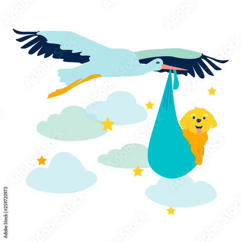 Stork carries newborn puppy vector illustration. Flat style.