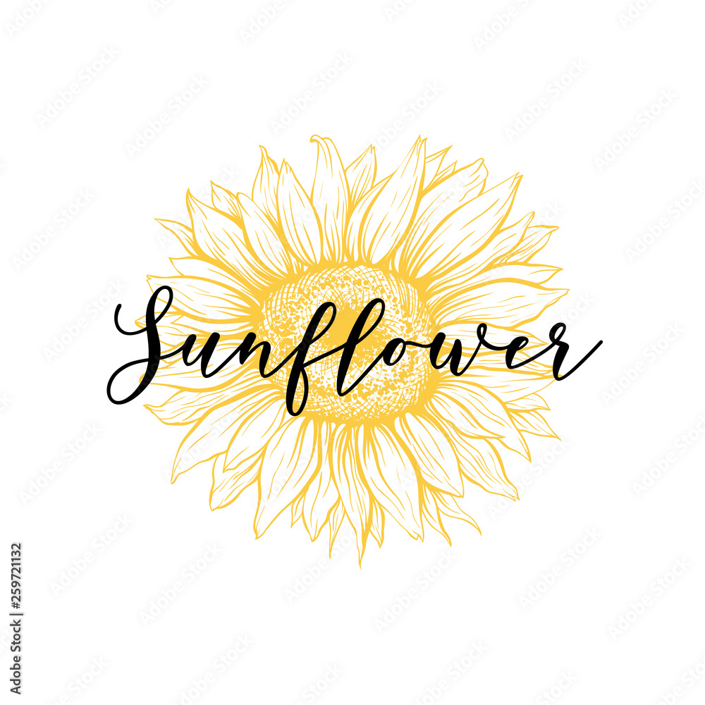 Yellow Sunflower hand drawn vector illustration for logotype. Floral ...