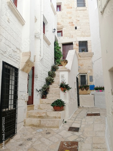 Polignano a Mare. Italy. Photo of town. Travel photo