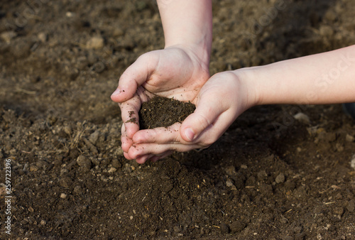 handful of arable soil in the hands of a child