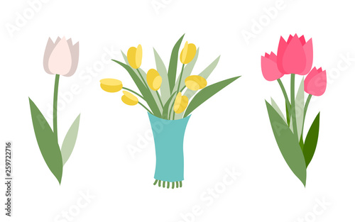 Types of flower vector, isolated icons set of tulips with different color. Floral composition for holiday greeting and celebration. Gift for occasion
