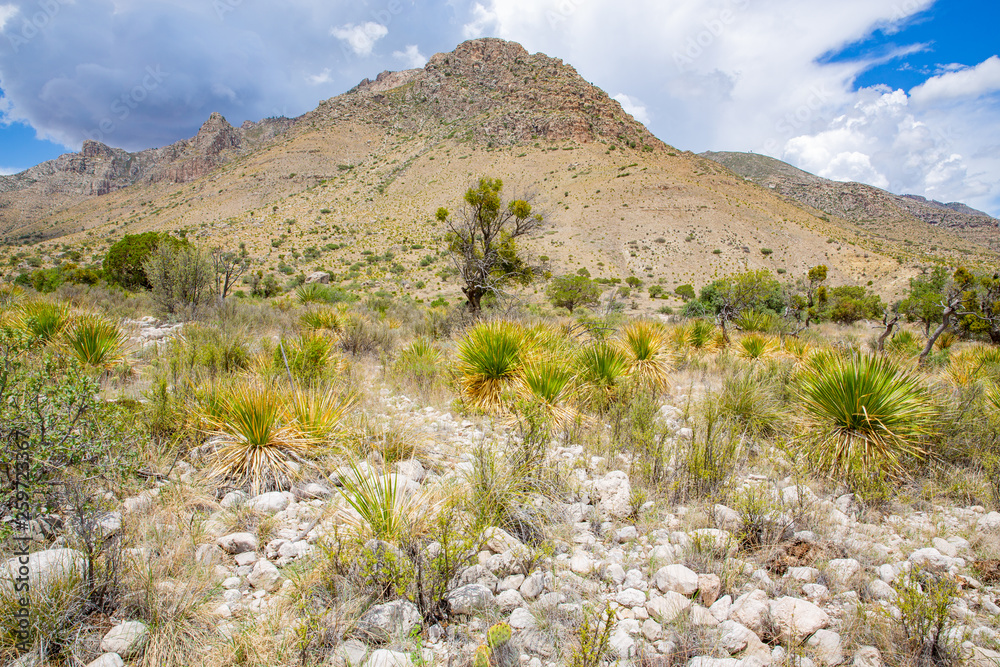 Guadalupe Mountains National Park in Texas, USA Guadalupe Mountains National Park in Texas, USA