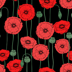 Acrylglasbilder Mohnblumenmuster Wilde Mohnblumen Vektor Sommermuster  © Евгения Савченко