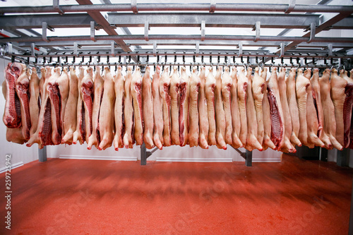 Half pork chunks fresh hung and arranged in a row in a large fridge in the fridge meat industry. Horizontal view. photo