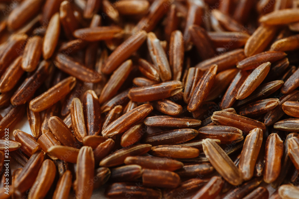 brown rice brown rice