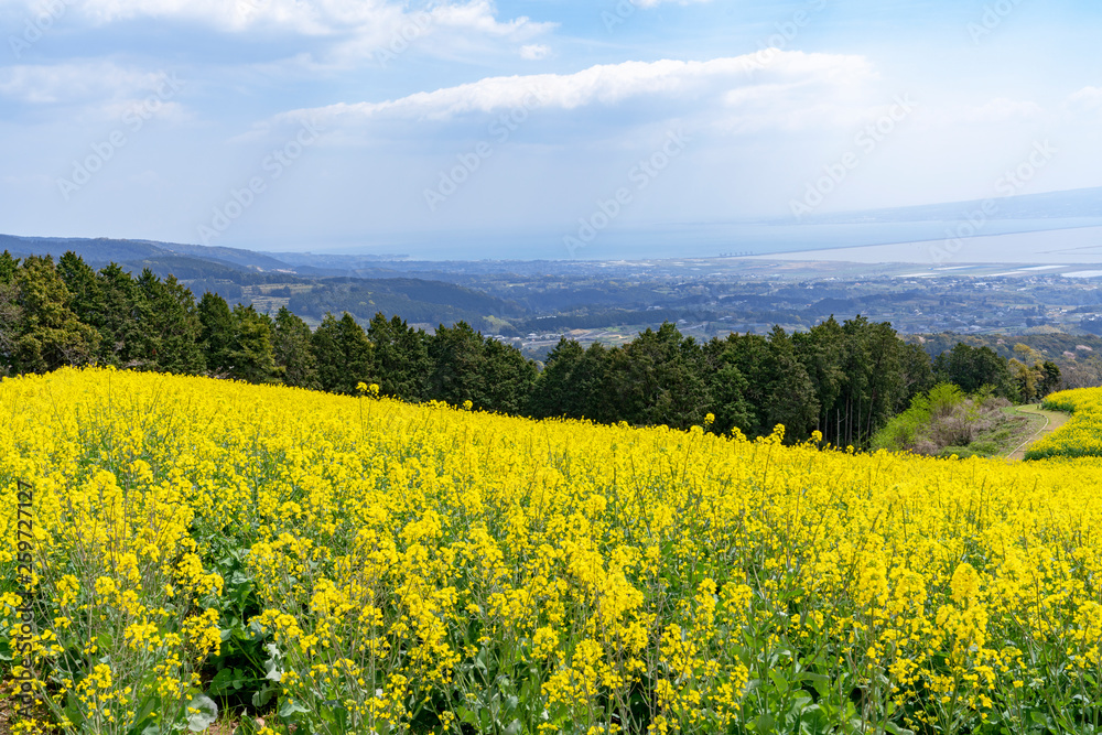 [長崎県]諫早白木峰高原の風景