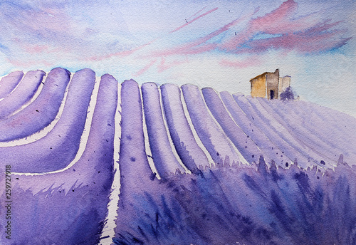 Watercolor hand drawn lavender field