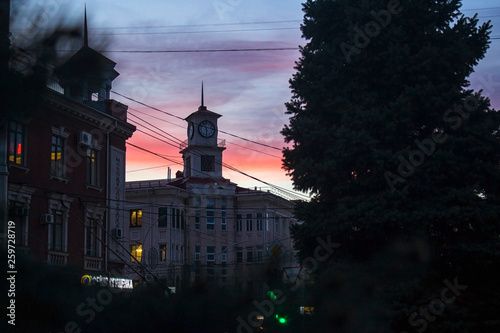 view of a beautiful sky with a colorful sky during sunset through the branches of spruce