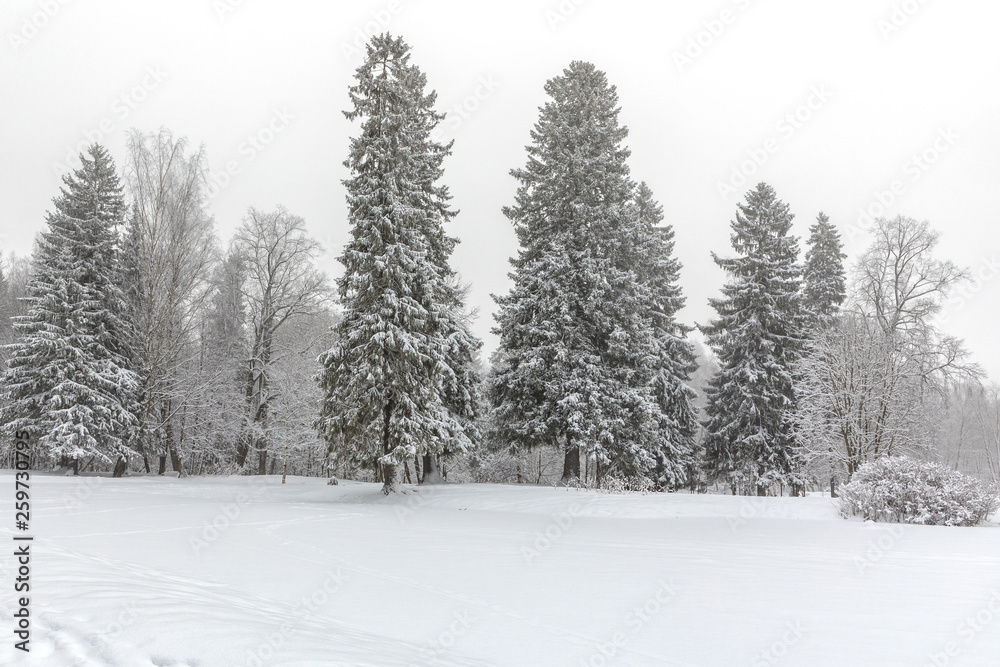 winter park winter park