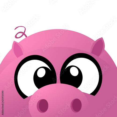 Schwein