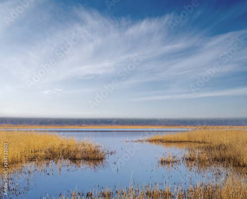 beautiful small lake landscape © Yuriy Kulik