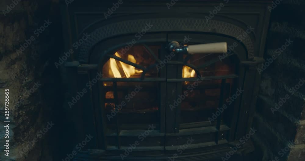 Fire burning in logburner with the doors closed Fire burning in logburner with the doors closed