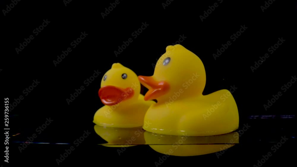 Large and small rubber ducks float on the surface of the water on a black background.