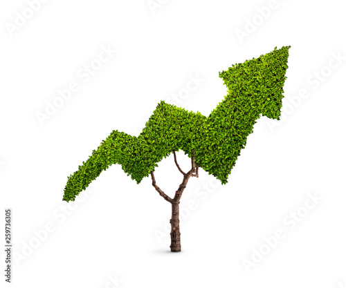 Plant growing in the shape of an arrow isolated on white background photo