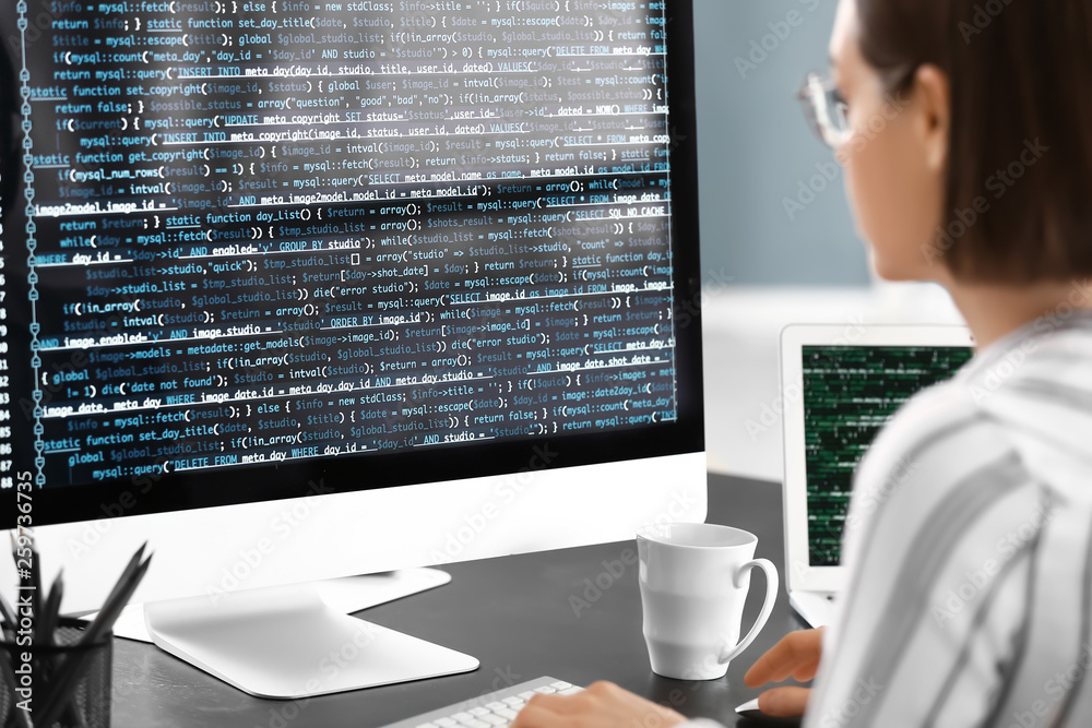 Female programmer working in office Stock Illustration | Adobe Stock