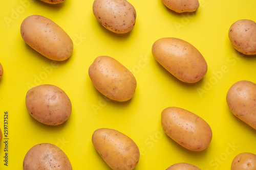 Raw potato on color background