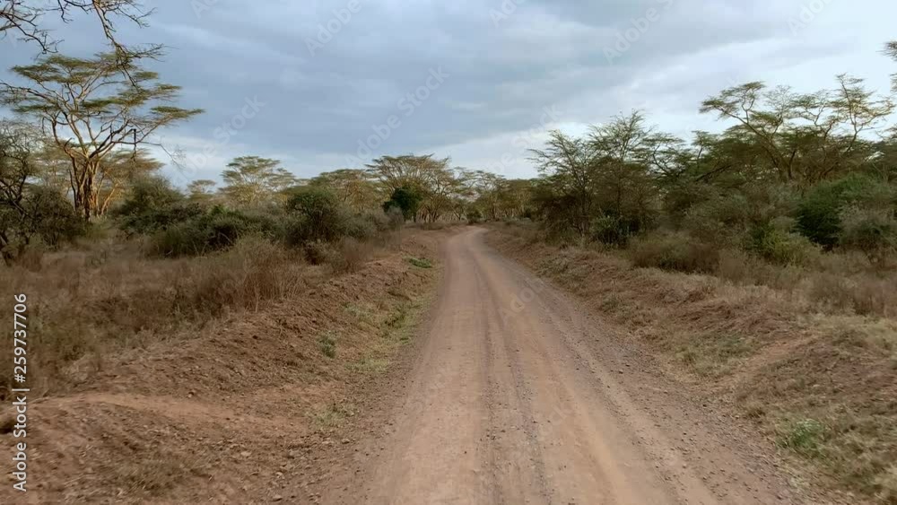 Driving african savannah landscape in Maasai Mara National Reserve at dusk