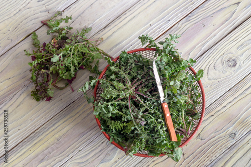 Photos Harvest plants sow thistle (Sonchus oleraceus) on the wooden table (Greek cuisin