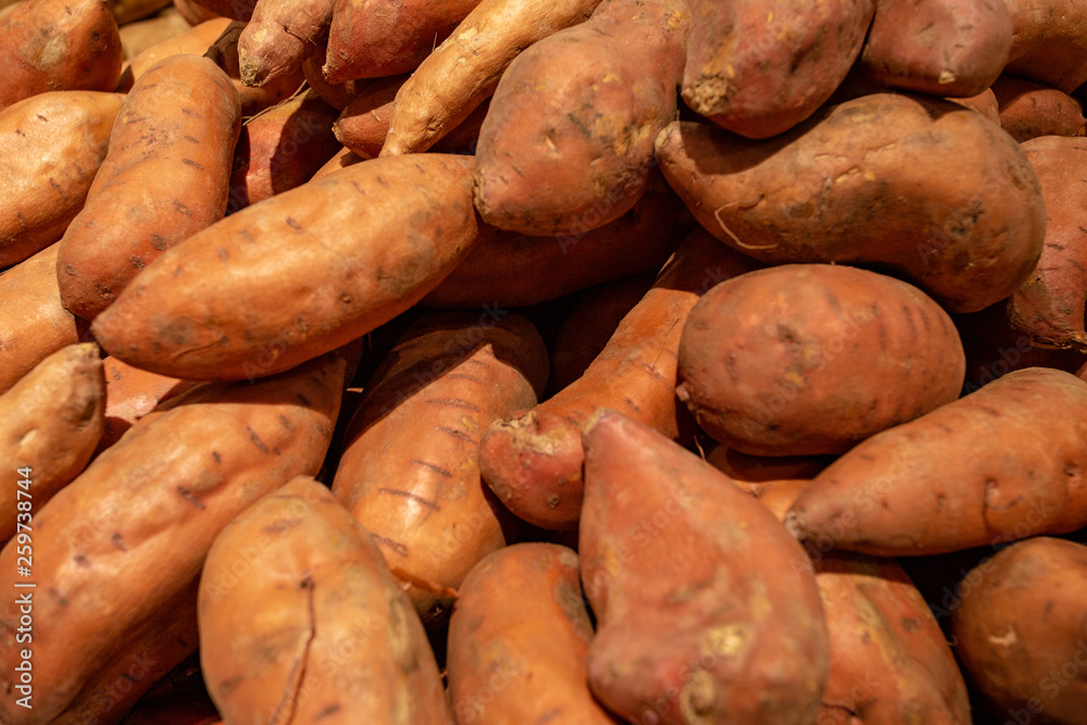 Potatoes Potatoes